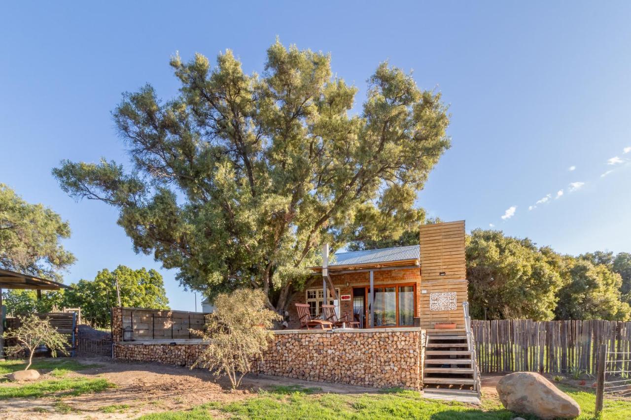 Bergsicht Country Farm Cottages Тулбаг Екстериор снимка