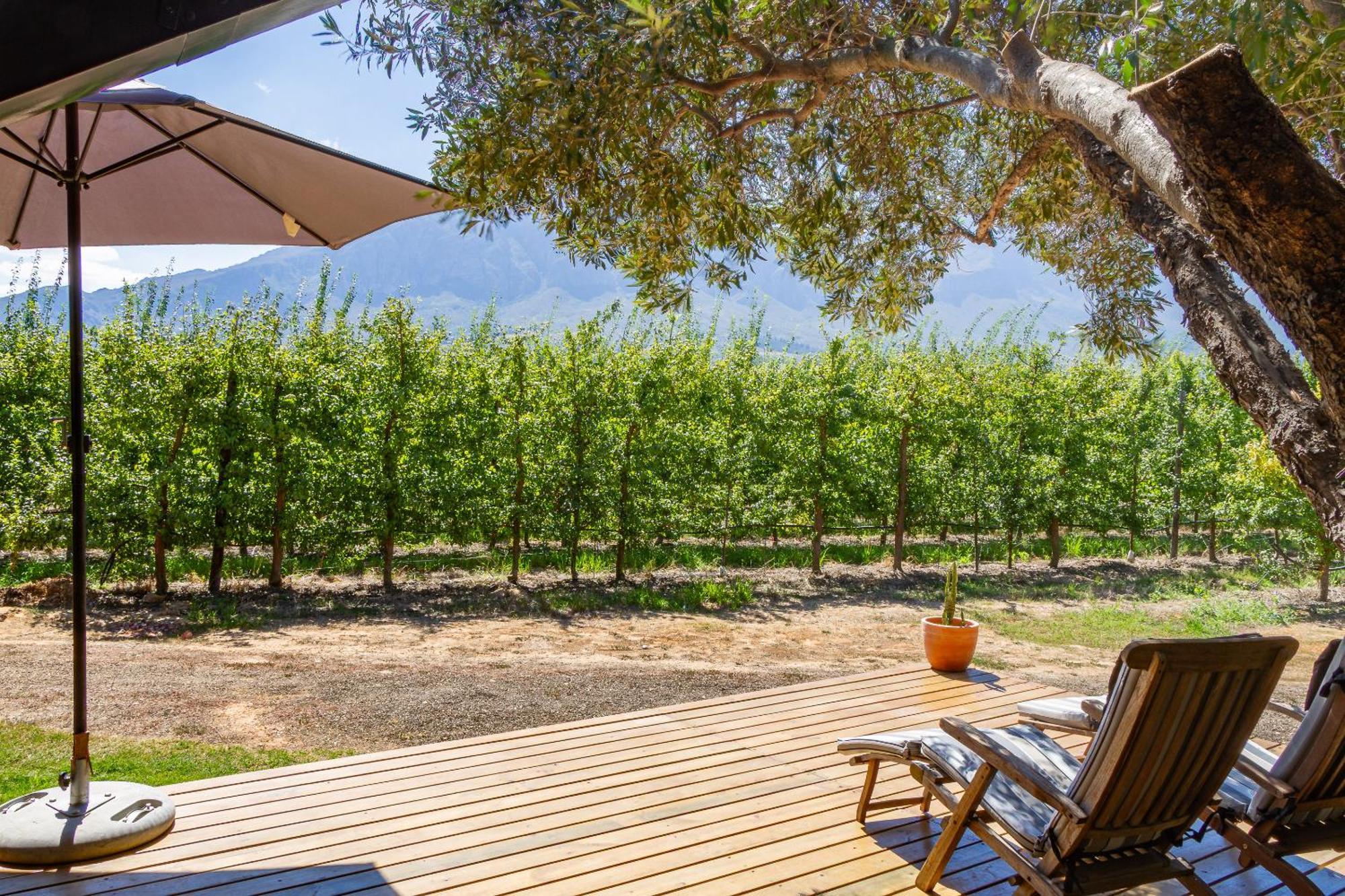 Bergsicht Country Farm Cottages Тулбаг Екстериор снимка